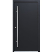 Ocelové/hliníkové domovní dveře DS92 - Motiv DS00